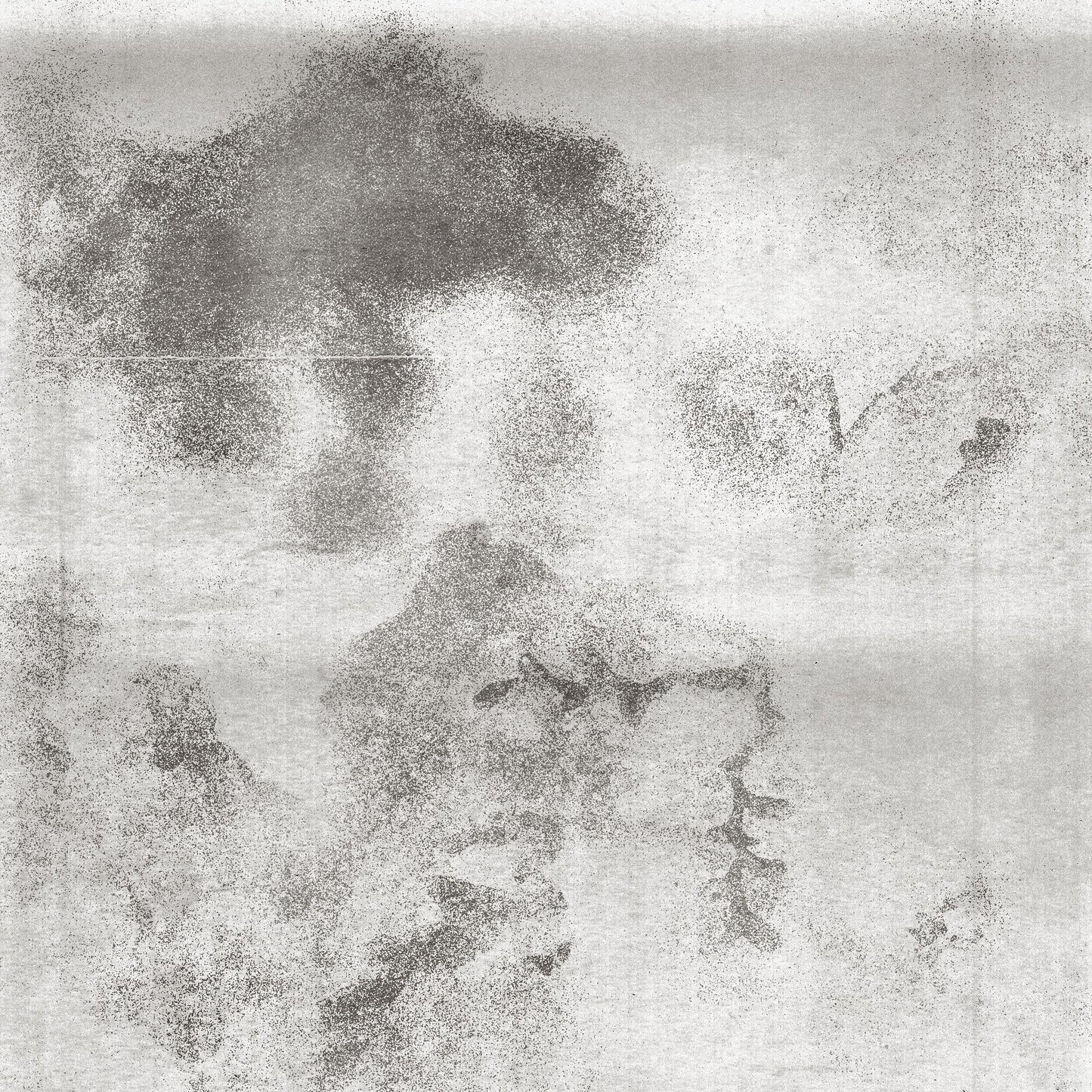 Birds are my Friends Sheet-Bundle